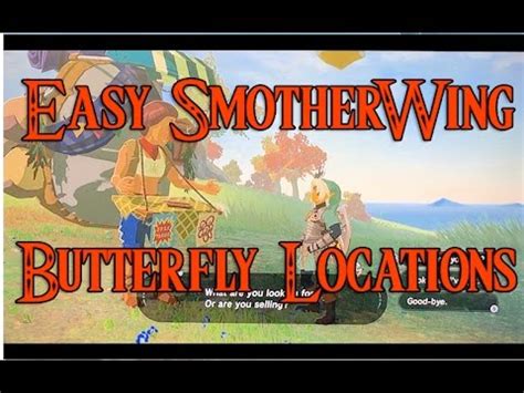 zelda botw löschflügler farmen|The Easiest Smotherwing Butterfly Buying Locations Zelda botw